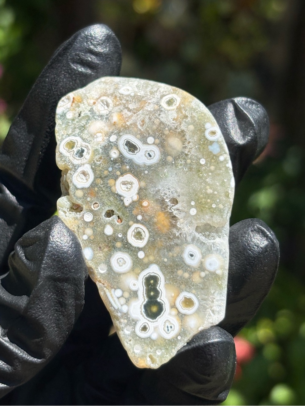 Discounted* Ocean Jasper Crystal Freeform - Orbicular Jasper - Sea Jasper